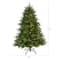 5ft. Pre-Lit South Carolina Spruce Artificial Christmas Tree with Clear LED Lights